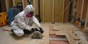 Water Damage League City Mold Removal Process