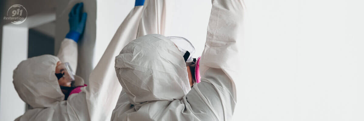 Mold Remediation in Houston