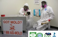 mold removal Houston