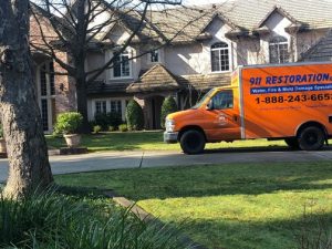 Mold Remediation in Houston